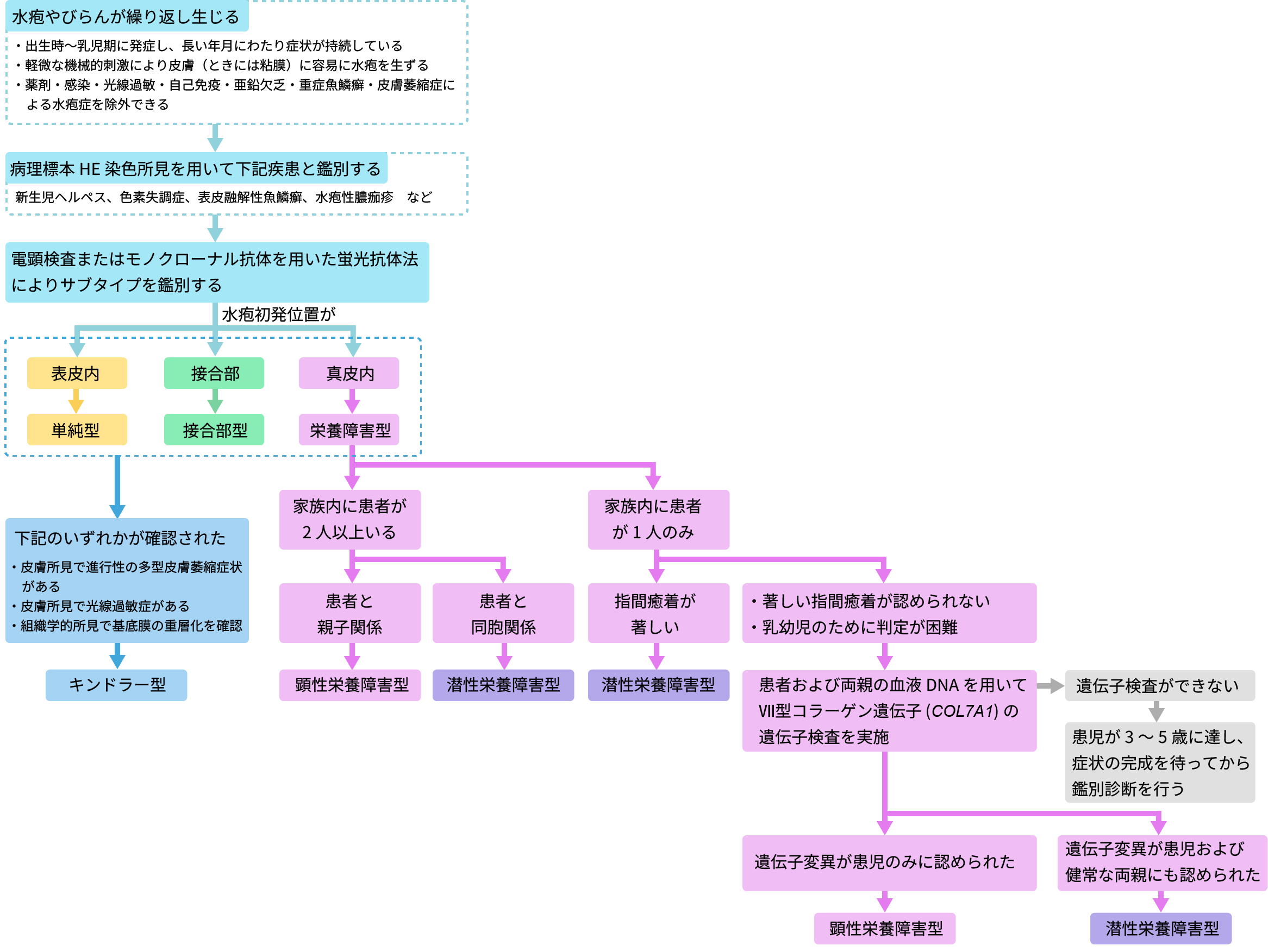 表皮水疱症の診断の流れ